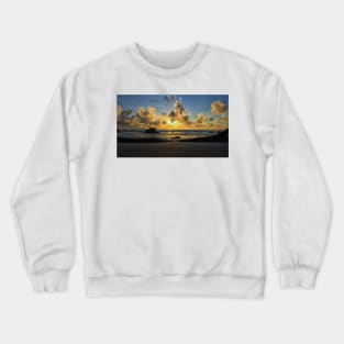 Driftwood Beach Jekyll Island Crewneck Sweatshirt